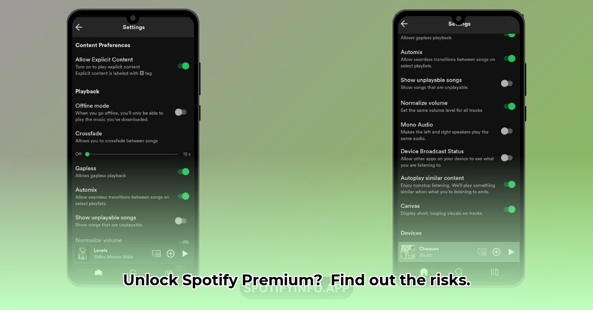 Unlock Spotify Premium: Modder Me Spotify Guide & Risks | Modder Me Spotify
